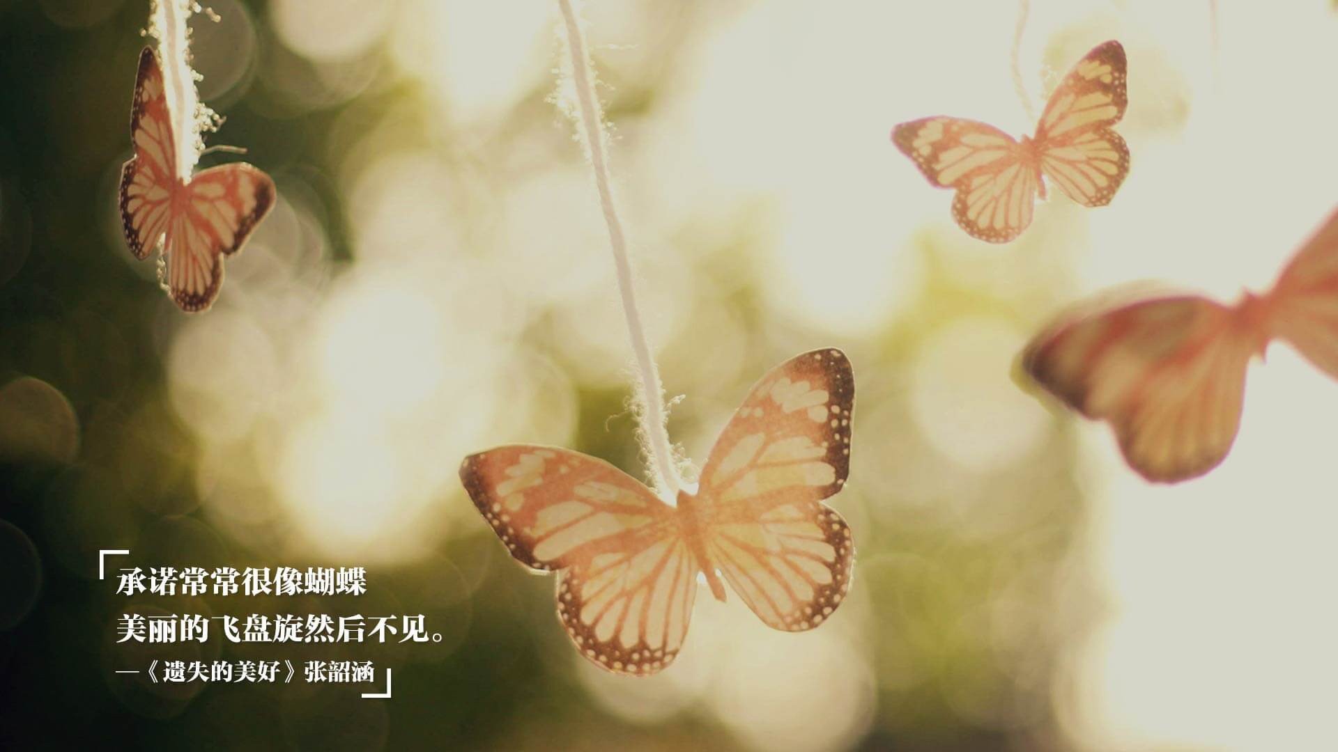 开云体育APP下载-中央科尔多瓦夺得2024年阿根廷杯冠军，首次捧杯，阿根廷国家队奖杯