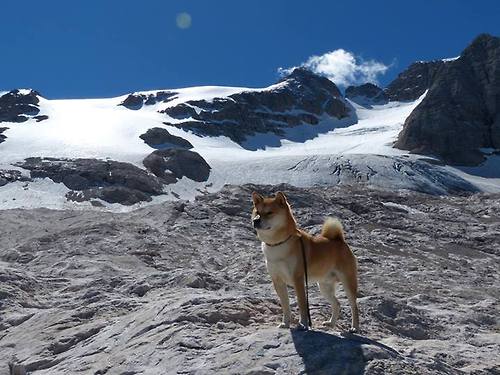 开云体育APP-传奇回忆：NBA历史上最经典的夺冠时刻，nba夺冠纪录