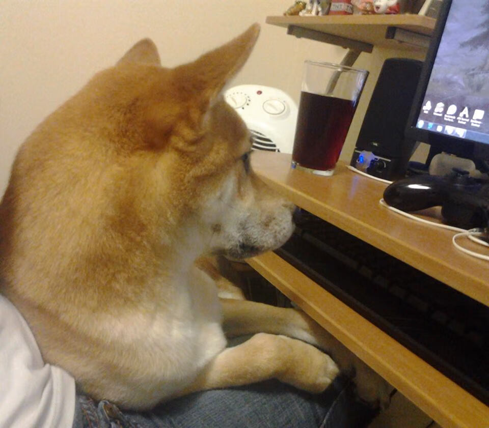 开云体育保障-地方政府加大足球基础设施建设投入，为青少年提供优质比赛场地