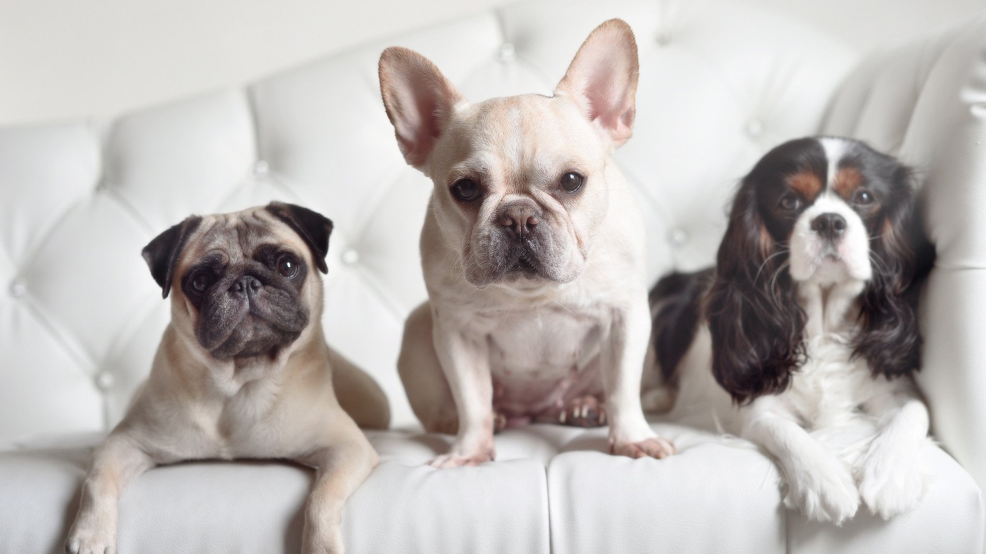 kaiyun xiazai-CSKA年轻球员崭露头角，助力球队成长，csgoqka年龄