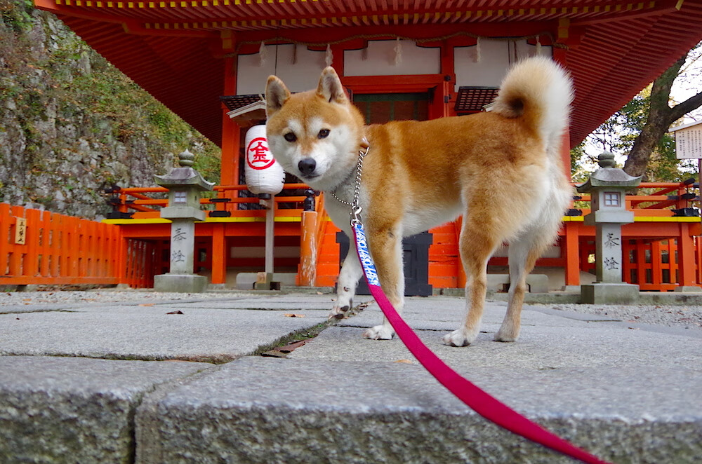 Kysports-T1加入全球“电竞安全竞技宣言”倡议计划