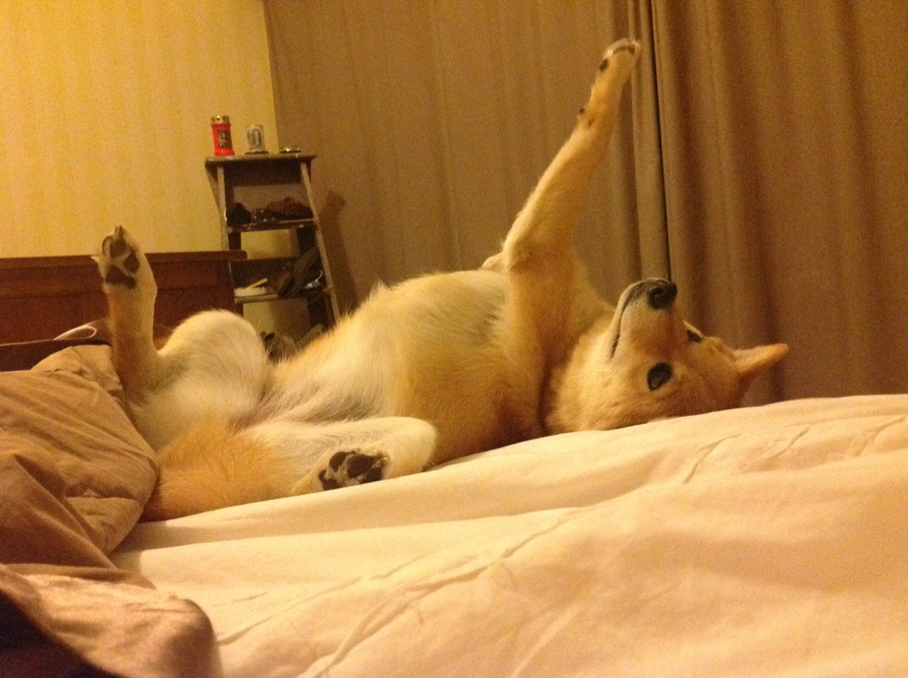 开云体育app安全下载-弗拉门戈替补阵容贡献稳定，弗拉门戈守门员