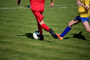 kaiyun sports safe-世界皮划艇世界杯中国男队勇摘银牌，世界皮划艇冠军男子