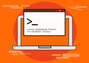 开云体育安全平台-篮球专项技能训练规范及实践应用,篮球专项能力